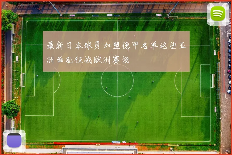 最新日本球员加盟德甲名单这些亚洲面孔征战欧洲赛场