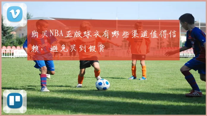 购买NBA正版球衣有哪些渠道值得信赖，避免买到假货