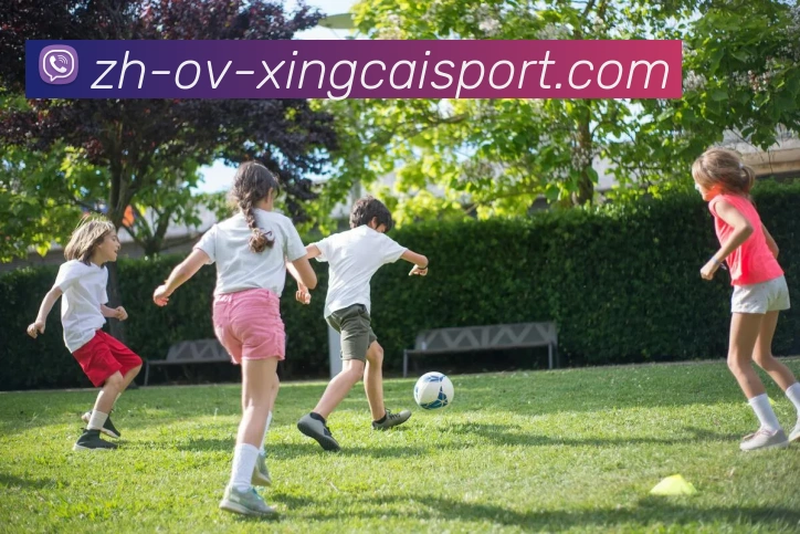 杏彩体育品牌故事